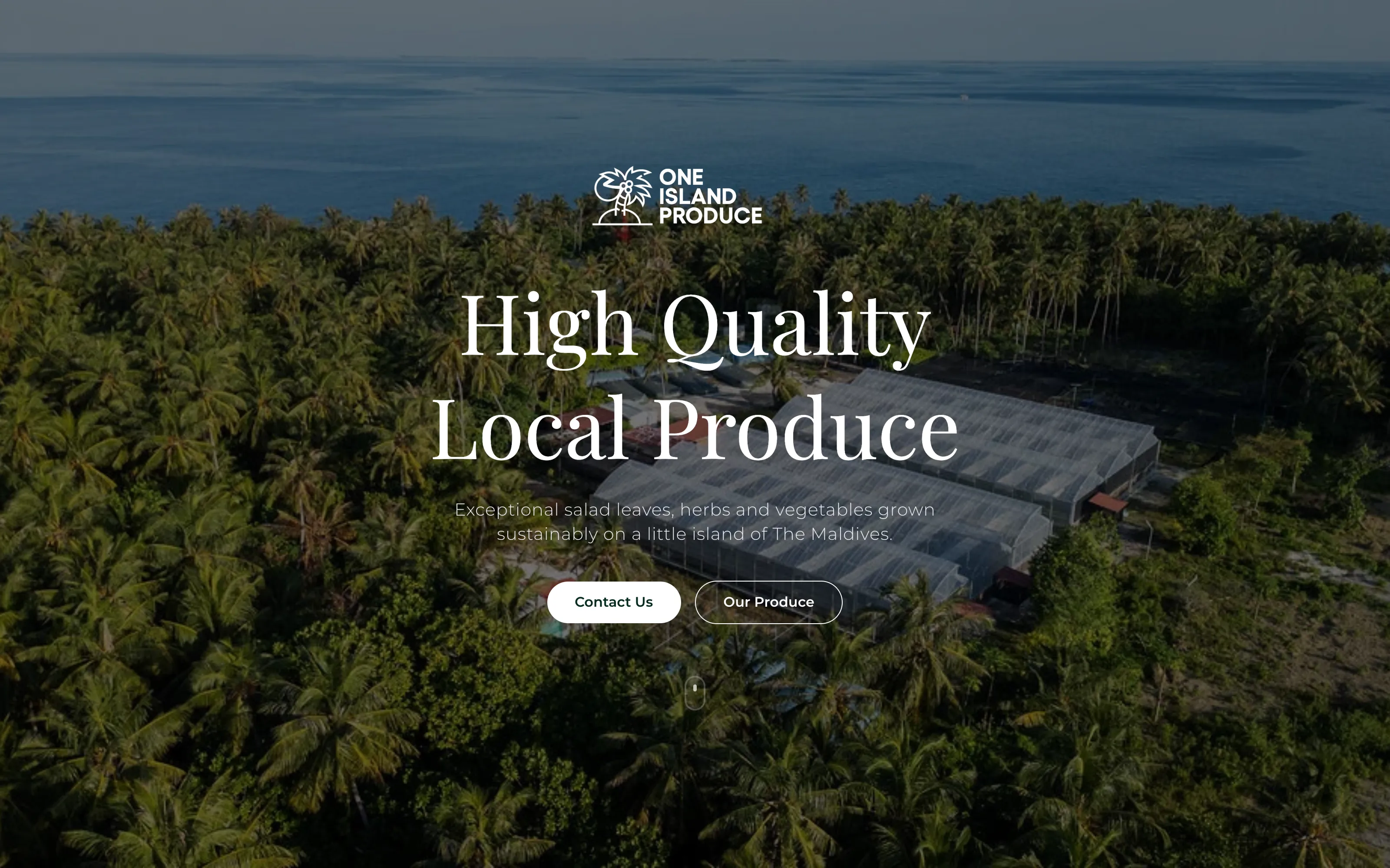 One Island Produce website built by Enable Maldives